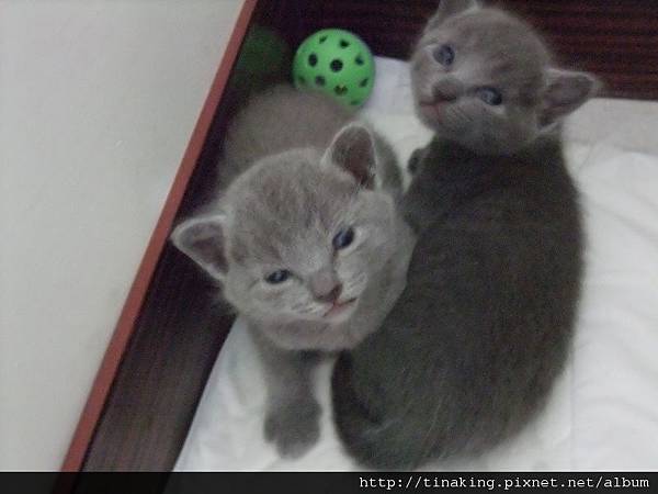 DSCF3957.jpg DSCF3957.jpg