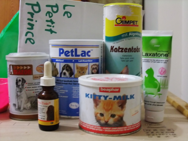 DSCF0338.JPG DSCF0338.JPG