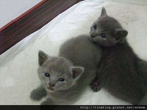 DSCF3987.jpg DSCF3987.jpg