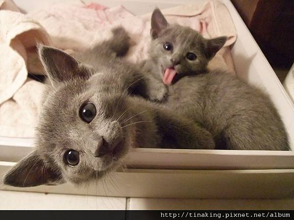 DSCF4119.jpg DSCF4119.jpg