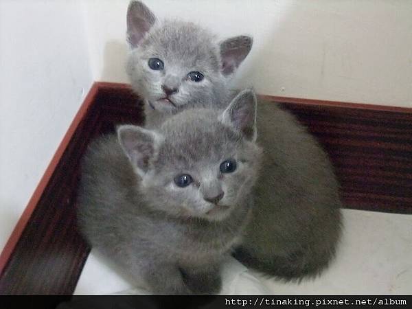 DSCF4036.jpg DSCF4036.jpg