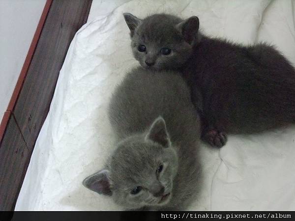 DSCF3989.jpg DSCF3989.jpg