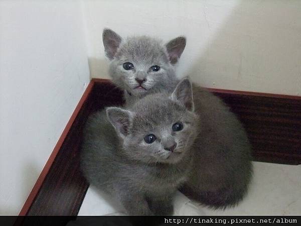 DSCF4034.jpg DSCF4034.jpg