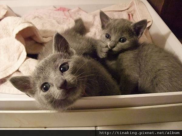 DSCF4120.jpg DSCF4120.jpg