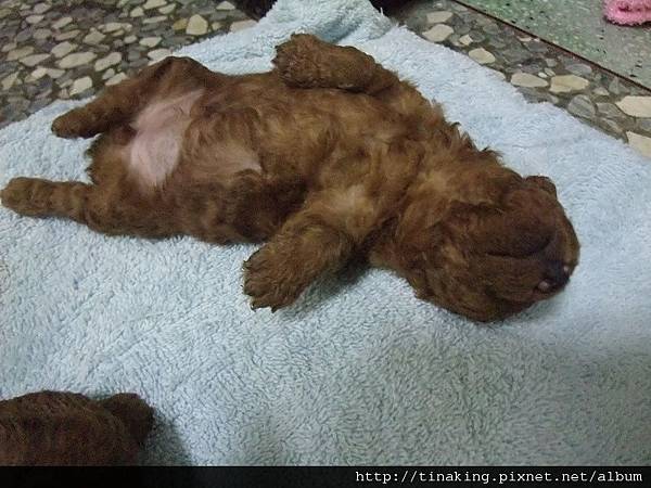 DSCF4152.jpg DSCF4152.jpg