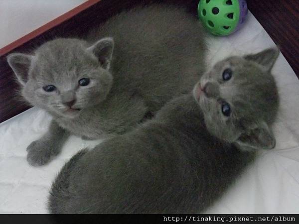 DSCF3961.jpg DSCF3961.jpg