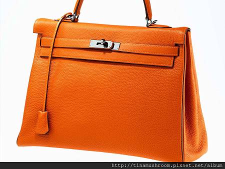 2013-Hermes-Kelly-Bag