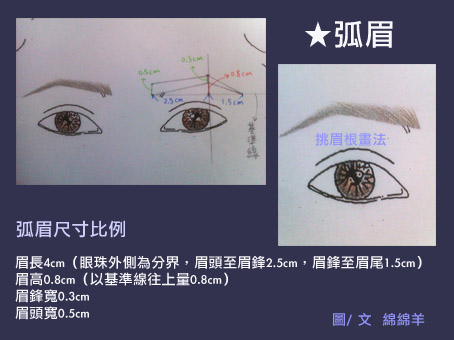 乙級美容 臉型與眉型之修飾 尺寸圖 進階 綿mien Pro Make Up Styling 痞客邦