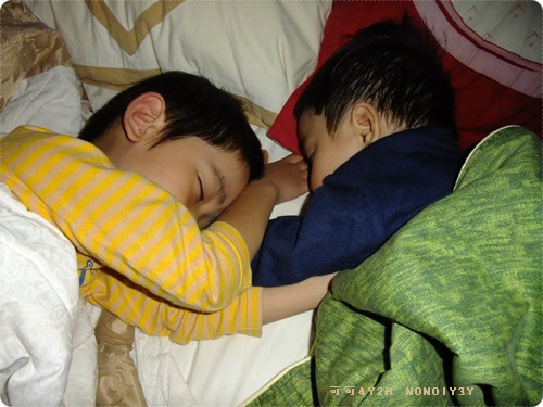 DSCF1481.jpg