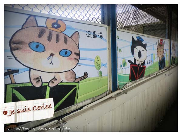 cat village-5