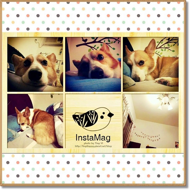 1507794_10201695141127604_3068973082122815678_n