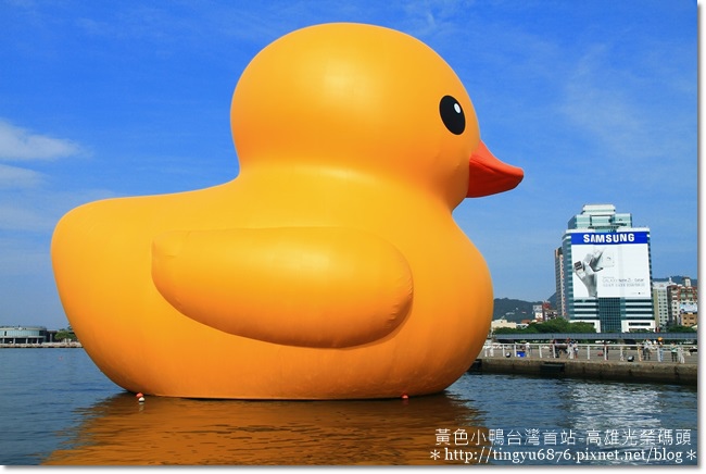 黃色小鴨21.JPG 黃色小鴨21.JPG