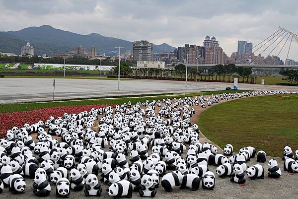 1600隻熊貓、熊貓快閃、1600貓熊世界之旅,熊出沒注意 1600隻熊貓、熊貓快閃、1600貓熊世界之旅,熊出沒注意