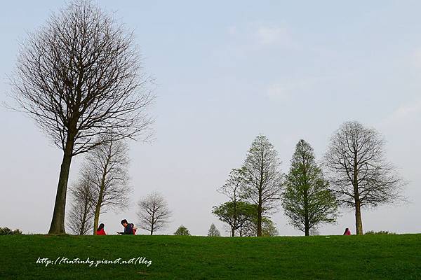 春天賞花一日遊 春天賞花一日遊