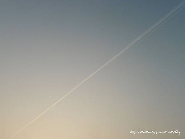 春天賞花一日遊 春天賞花一日遊