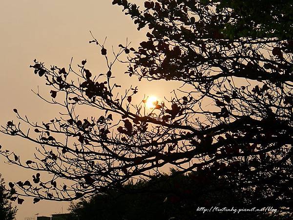 春天賞花一日遊 春天賞花一日遊