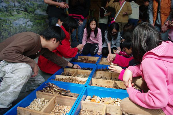 TIN_9909.JPG TIN_9909.JPG