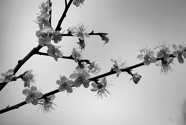 TIN_2257.JPG TIN_2257.JPG