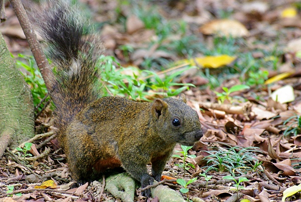 TIN_4640.JPG TIN_4640.JPG