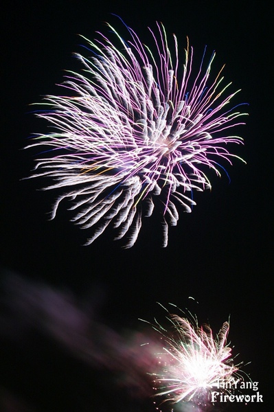 TIN_9092.JPG TIN_9092.JPG