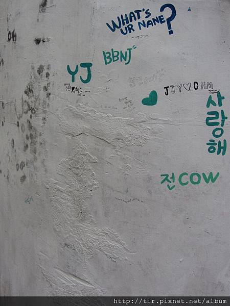 IMG_1519.jpg IMG_1519.jpg