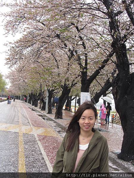 IMG_2337 IMG_2337