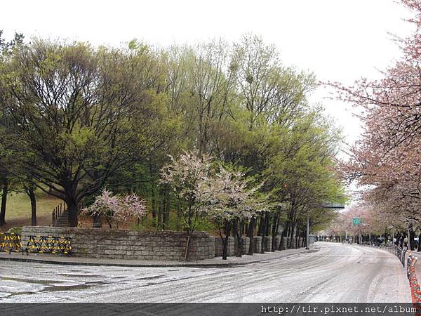 IMG_2346 IMG_2346