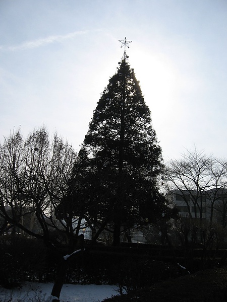 IMG_5418.jpg IMG_5418.jpg