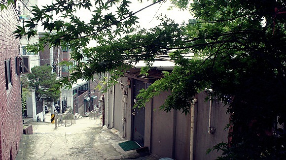 339.JPG 339.JPG