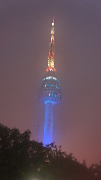 477.JPG
