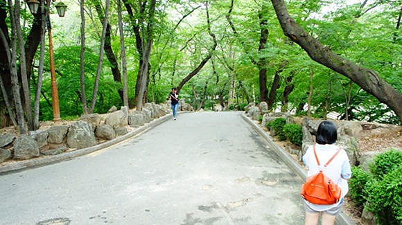 595.JPG 595.JPG