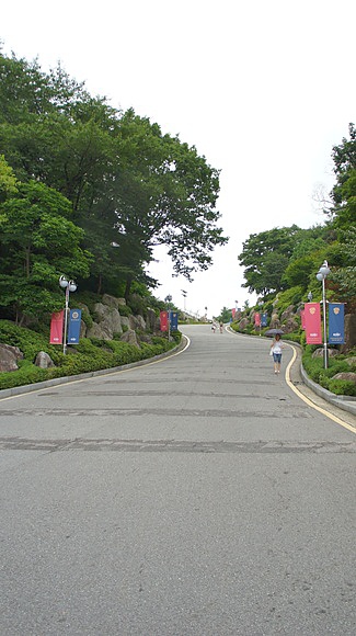 608.JPG 608.JPG