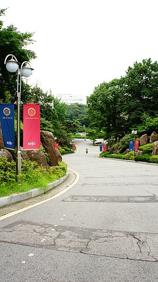 619.JPG 619.JPG