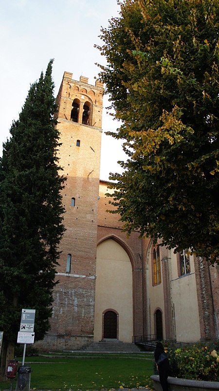 DSC05339.JPG