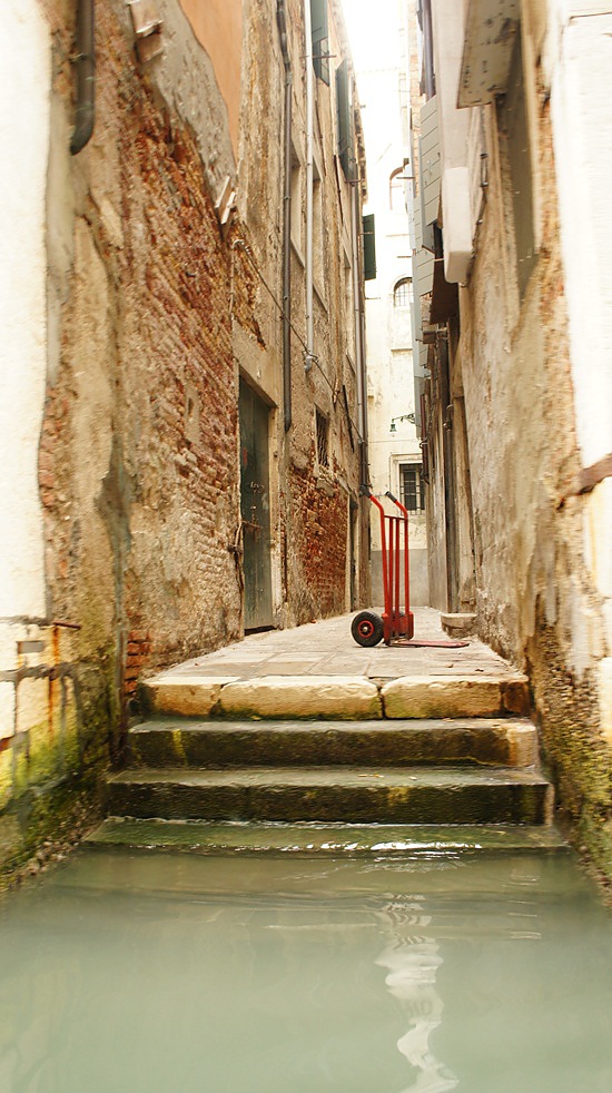 DSC06470.JPG