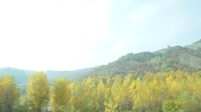 DSC06974 DSC06974