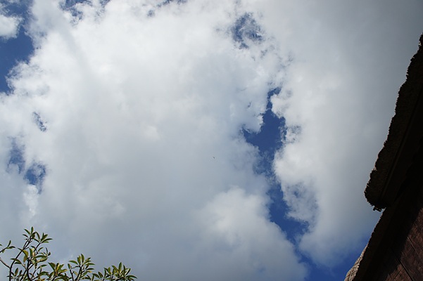 DSC09299 DSC09299