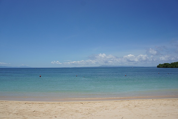 DSC09433 DSC09433
