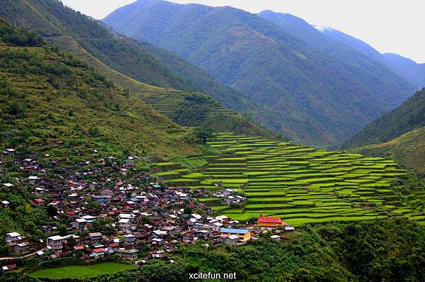 226094,xcitefun-banaue-rice-terraces-3