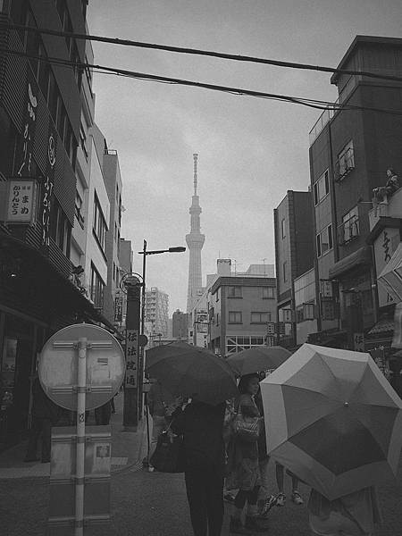 R0030906.JPG R0030906.JPG