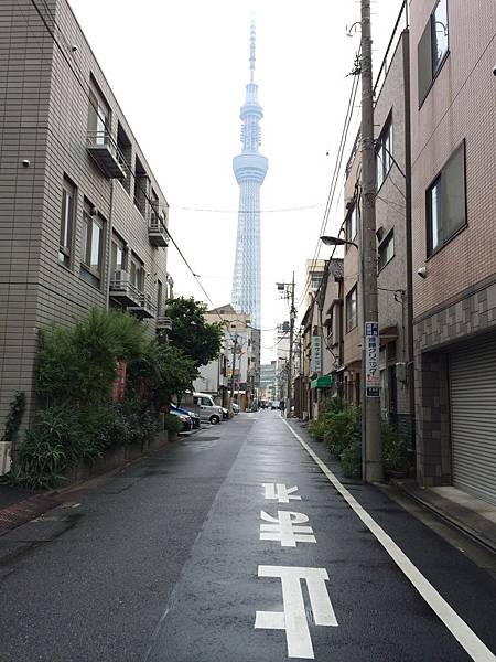 IMG_0996.JPG IMG_0996.JPG