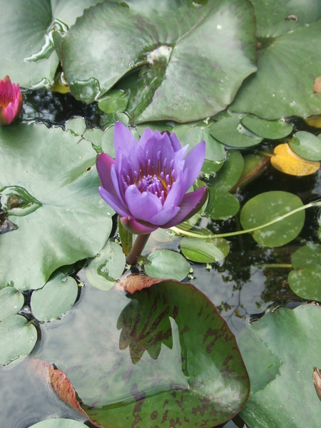 DSCF0263.JPG