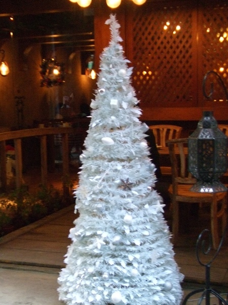 DSCF0033.JPG