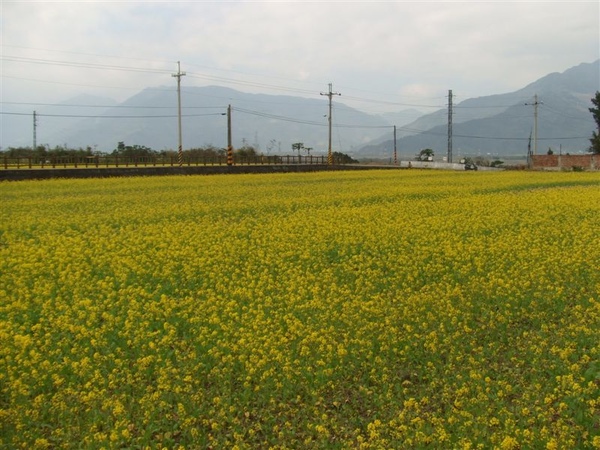 DSCF0482.JPG