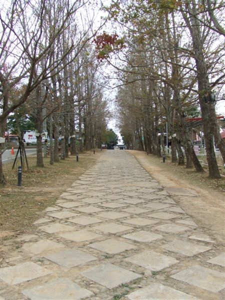 DSCF0638.JPG