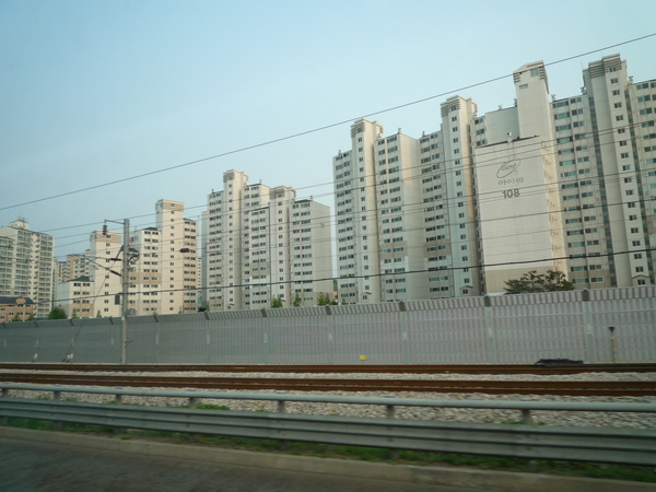 P1030424.JPG