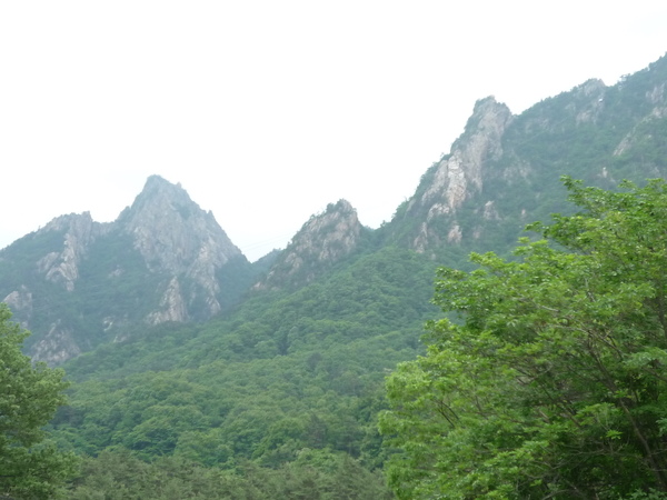 P1030883.JPG