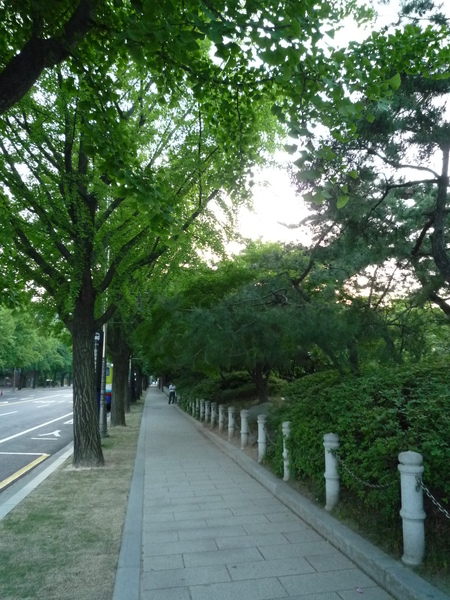 P1040168.JPG