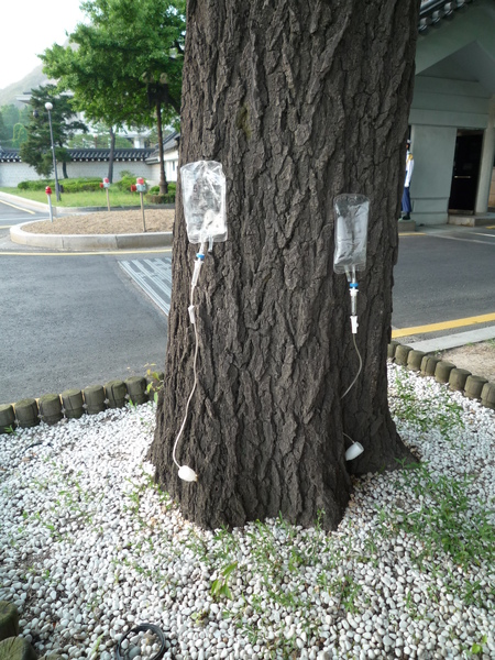 P1040184.JPG