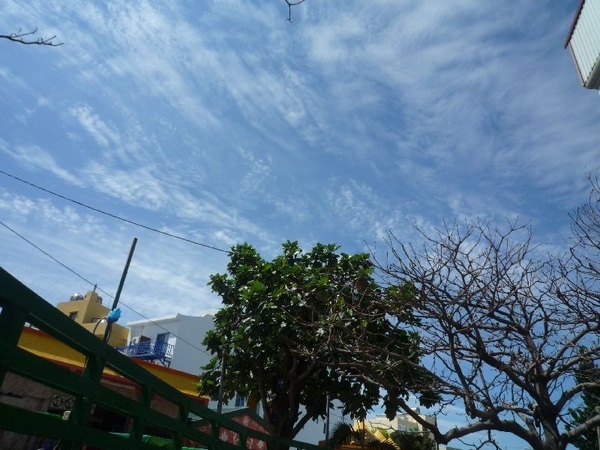P1050004.JPG